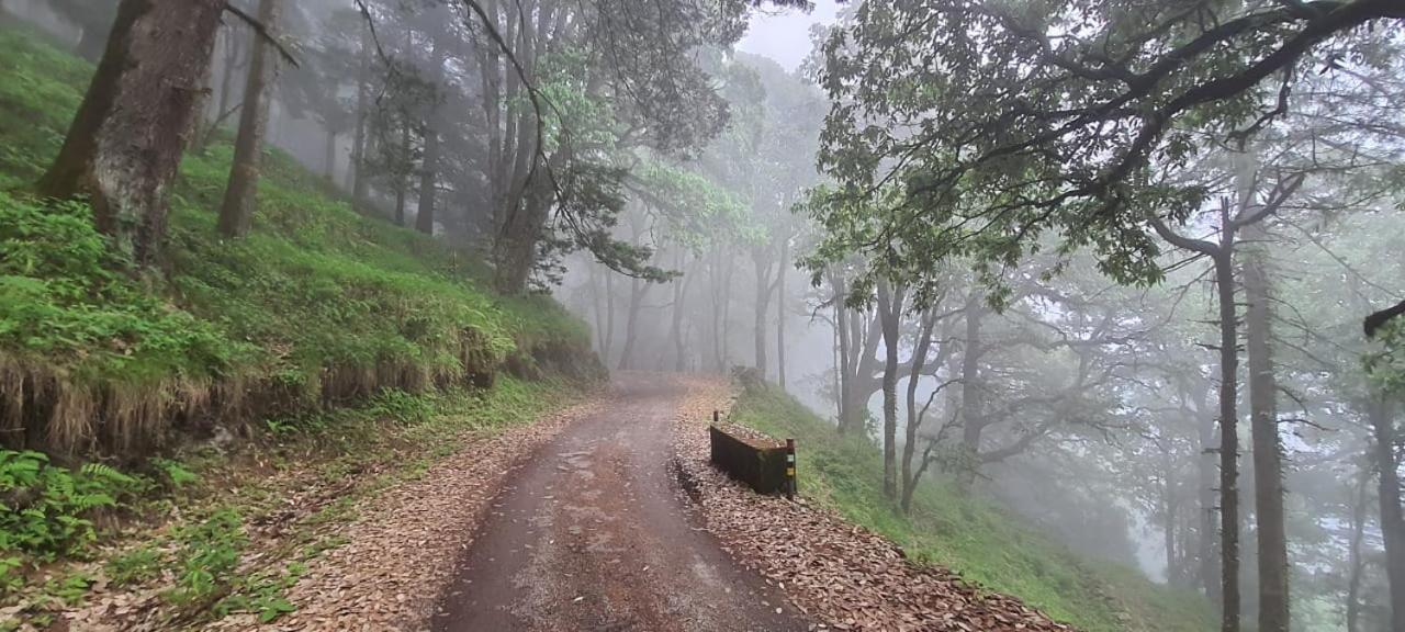 Huts And Hats Resorts 5* Nainital